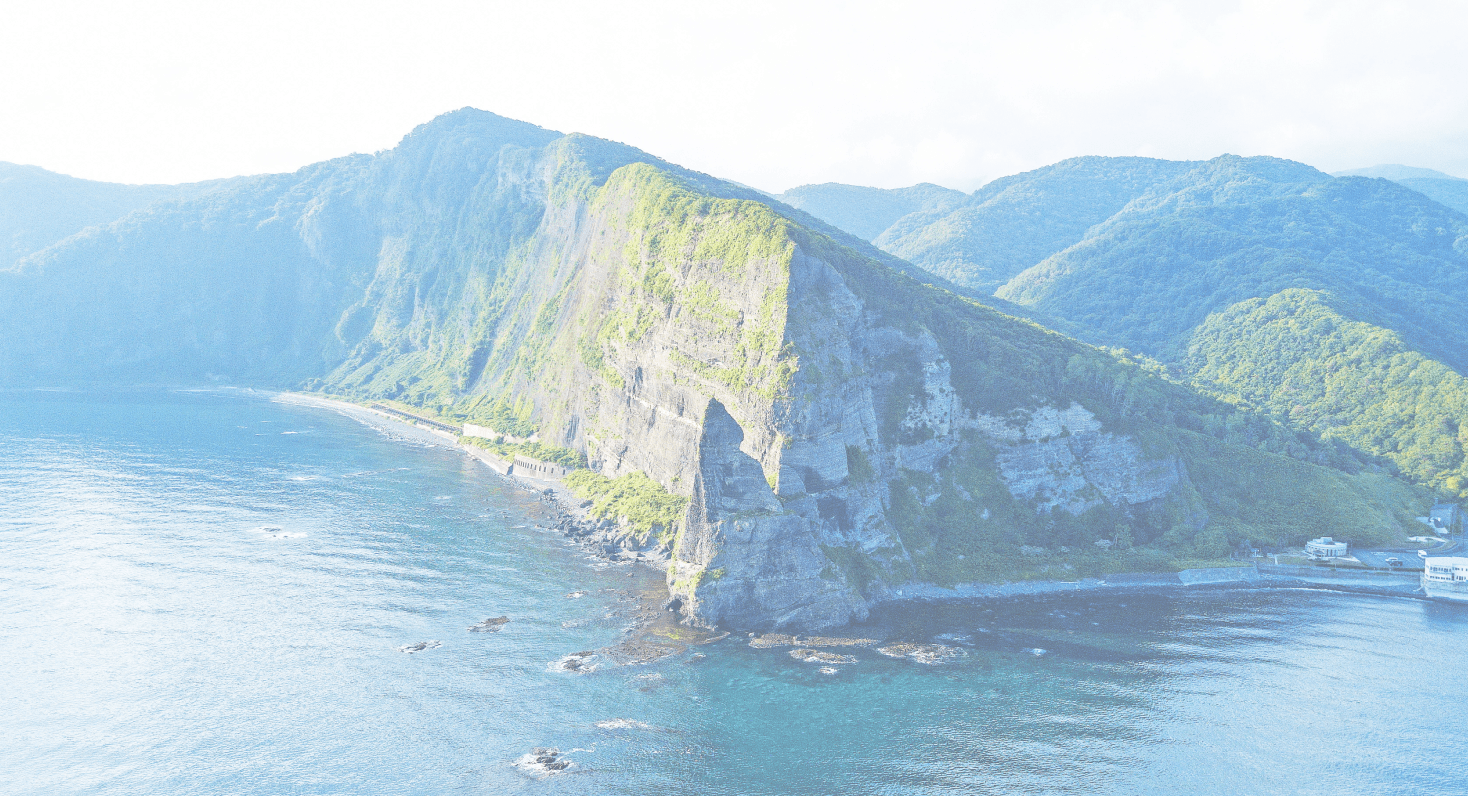 チョペタン林道